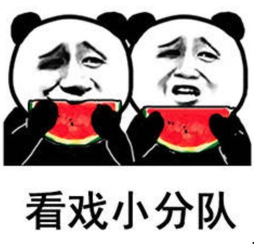 不给吃瓜表情包,揭开网络表情包的神秘面纱