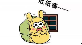 吃瓜群众生肖,吃瓜群众生肖大揭秘