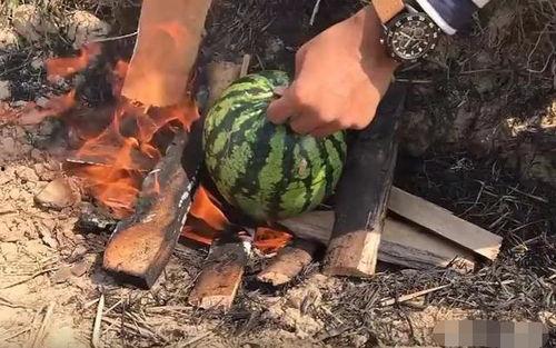 瓜哥吃瓜奇葩物品,揭秘那些令人瞠目结舌的“吃瓜”神器