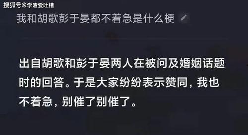 最近吃瓜太多文案短句