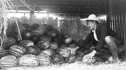 邱县吃瓜群众,揭秘乡村生活百态